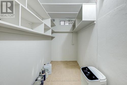 Lower - 127 Rusholme Road E, Toronto, ON 