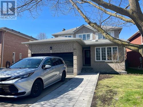 LOWER - 824 COLLEGE MANOR DRIVE , Newmarket, Ontario L3Y 8G6 2