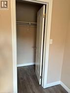 Built-in closet with hanging rod, wood-finish flooring, and a paneled door - 