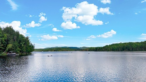 Photo aérienne - Ch. Hickey, Low, QC 