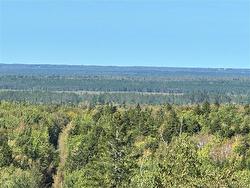 Lots Indian Mountain RD  Indian Mountain, NB E1G 3C3