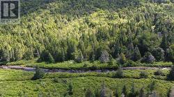 331-339 North River North River, NL A0A 3G0