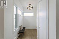 Hardwood-style flooring, transom windows, flush-panel doors, and a contemporary ceiling fixture - 
