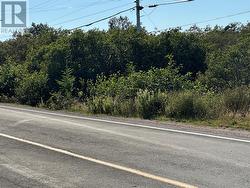 293-297 Main Road Hearts Desire, NL A0B 2B0