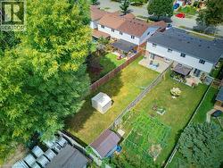 Arial view of the backyard - 