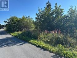 8-10 Old Track Road Hearts Desire, NL A0B 2B0