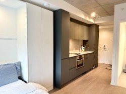 402-360 Rue Mayor Montréal (Ville-Marie), QC H3A 0J4