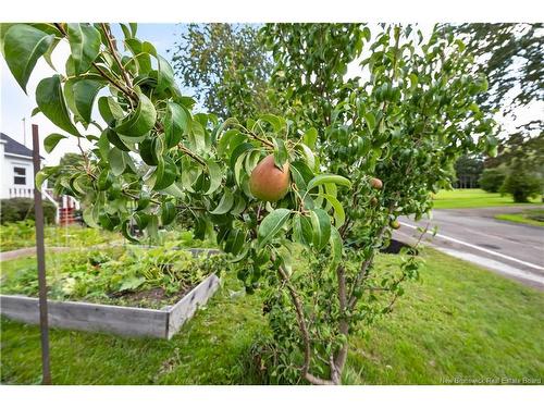 6 Spring St, Petitcodiac, NB 