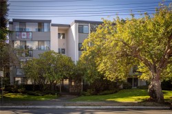 #402-1157 Fairfield Rd Victoria, BC V8V 3A9
