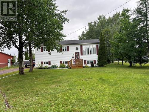 247 Grenfell Heights  Grand Falls-Windsor, NL A2A 2J2