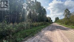 LOT 29 CONCESSION 2, GRAND DESERT ROAD Bonfield, ON P0H 2E0