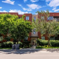 408-1351 Rue St-Grégoire Montréal (Le Plateau-Mont-Royal), QC H2J 4G1