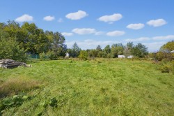 Jardin - 