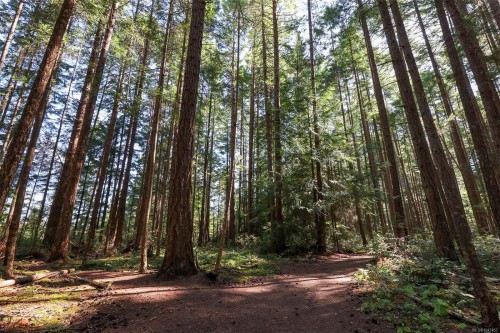 Lt 4 Pritchard Rd, Comox, BC 