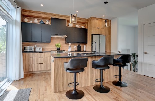 Cuisine - 115 Ch. Vézina, Saint-Jean-De-Matha, QC - Indoor Photo Showing Kitchen With Upgraded Kitchen