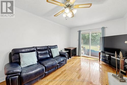 25 Malcolm Crescent, Brampton, ON - Indoor Photo Showing Living Room