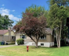 414 Av. St-Louis  Dorval, QC H9S 2S6
