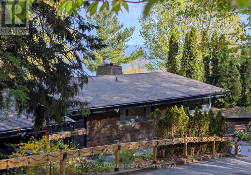 2 Ledge Road, Toronto, ON - Outdoor