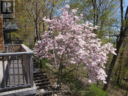 2 Ledge Road, Toronto, ON - Outdoor