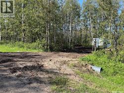 7 Buffalo Pound ROAD Delaronde Lake, SK S0J 0E0