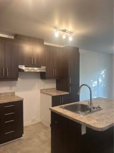 Cuisine - D-20 7E Avenue, Beauharnois, QC - Indoor Photo Showing Kitchen With Double Sink