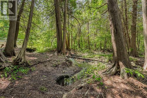 7530 Macpherson Lane, Puslinch, ON 