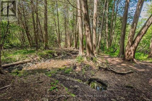 7530 Macpherson Lane, Puslinch, ON 