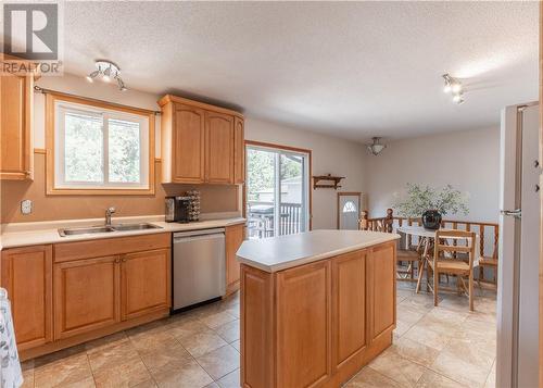 162 Lapointe Street, Sudbury, ON - Indoor Photo Showing Kitchen With Double Sink