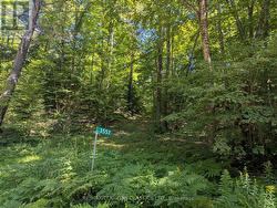 3557 MOUNTAINVIEW ROAD  Killaloe, Hagarty And Richards, ON K0J 2A0