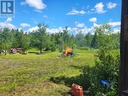 0 MOOR ROAD  Kawartha Lakes (Woodville), ON K0M 2T0