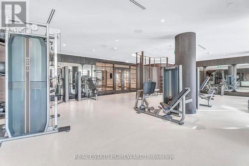 808 - 397 Royal Orchard Boulevard E, Markham, ON - Indoor Photo Showing Gym Room