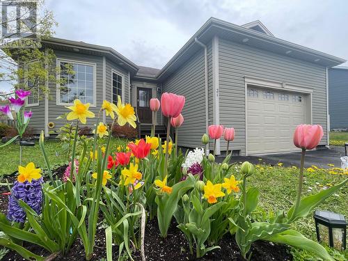 21 Rowsell Street  Corner Brook, NL A2H 7N7