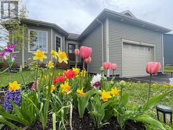 21 Rowsell Street Corner Brook, NL A2H 7N7