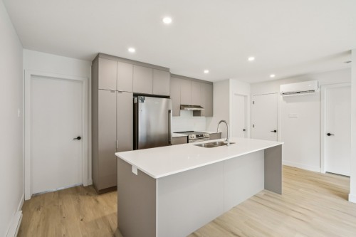 Cuisine - 301-5997 Rue Hamilton, Montréal (Le Sud-Ouest), QC - Indoor Photo Showing Kitchen With Double Sink With Upgraded Kitchen