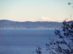 4553 Cordova Bay Rd Saanich, BC V8X 3V6