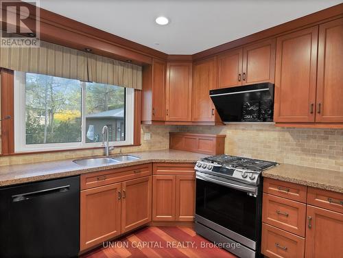 111 Libby Boulevard, Richmond Hill, ON - Indoor Photo Showing Kitchen With Double Sink