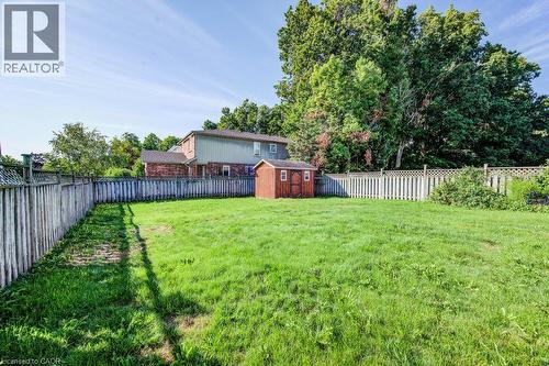 Expansive lawn with a perimeter fence and a storage shed - 3 Cora Drive, Kitchener, ON - Outdoor