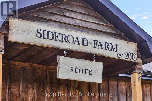 805092 Sideroad 25, Grey Highlands, ON - Outdoor