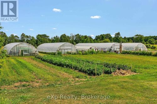 805092 Sideroad 25, Grey Highlands, ON - Outdoor