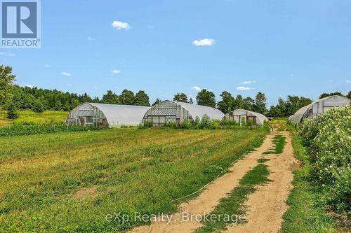 805092 Sideroad 25, Grey Highlands, ON - Outdoor