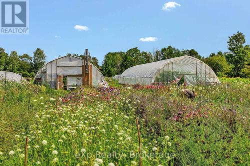 805092 Sideroad 25, Grey Highlands, ON - Outdoor