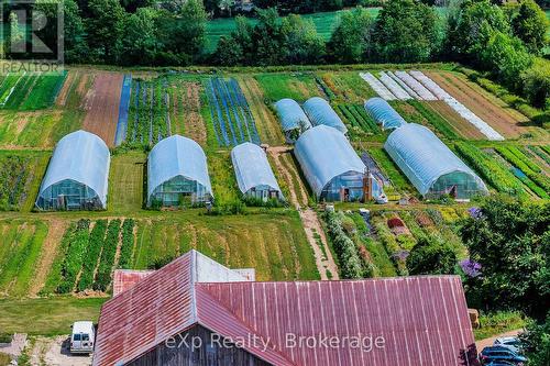 805092 Sideroad 25, Grey Highlands, ON - Outdoor