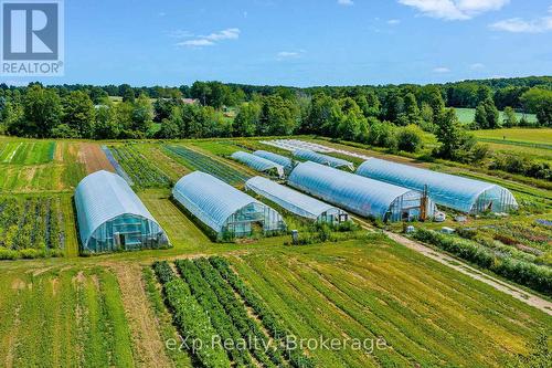 805092 Sideroad 25, Grey Highlands, ON - Outdoor With View