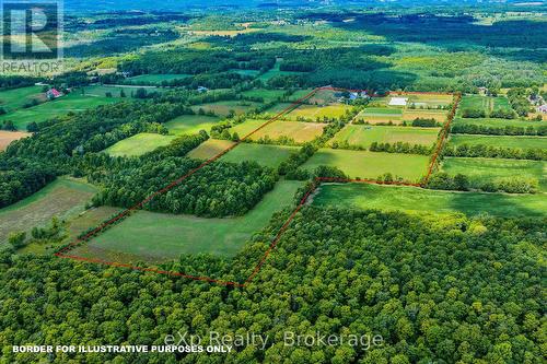 805092 Sideroad 25, Grey Highlands, ON - Outdoor With View
