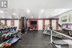 Basement Gym - 