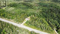 33333 HWY 62 HIGHWAY Hastings Highlands (Wicklow Ward), ON K0L 2S0