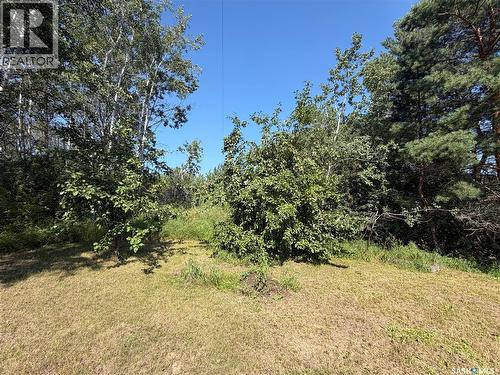 Cyr Acreage, Shellbrook Rm No. 493, SK - Outdoor With View