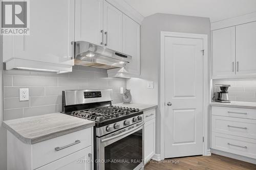 7 Chatfield Street, Ingersoll, ON - Indoor Photo Showing Kitchen With Upgraded Kitchen
