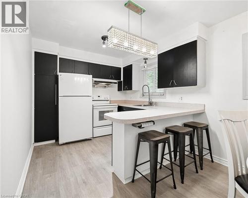 285 Stonybrook Drive, Kitchener, ON - Indoor Photo Showing Kitchen