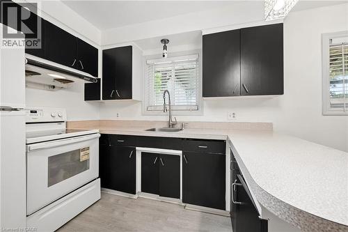 285 Stonybrook Drive, Kitchener, ON - Indoor Photo Showing Kitchen